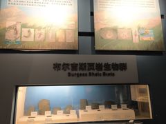 -辽宁古生物博物馆