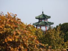 -北京西山国家森林公园