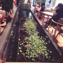 点击看大图 -悦诗风吟innisfree