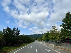 -北京西山国家森林公园
