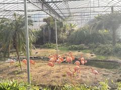 -无锡动物园·太湖欢乐园