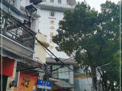 -清平中药材专业市场