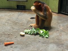 -石家庄市动物园