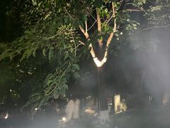 -英德宝晶宫天鹅湖茶语温泉