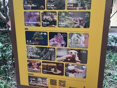-瑞虹新天地月亮湾