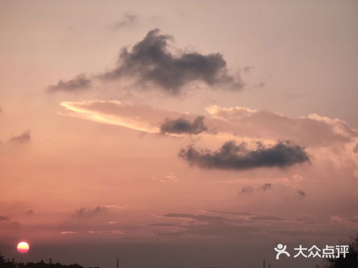 南汇嘴观海公园图片