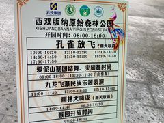 -西双版纳原始森林公园