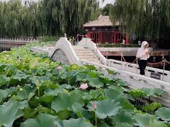 -后海公园