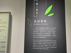 -中国茶叶博物馆(双峰馆区)