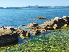 -养马岛旅游度假区
