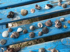 -北海金海湾红树林生态旅游区