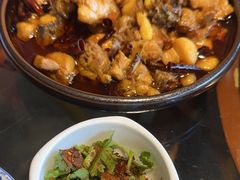 -志晖园圆子鸡·辣子鸡(阳光店)