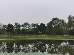 -东郊湿地公园