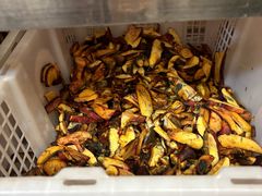 -江川野生菌火锅铜锅鱼(贵清火锅店)