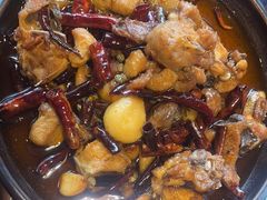 -志晖园圆子鸡·辣子鸡(阳光店)