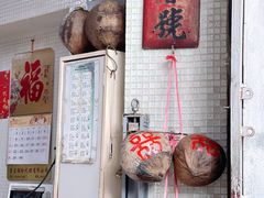 -洪馨椰子