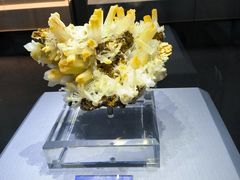 -湖南省地质博物馆