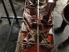 -三岔湖高家庄农家乐烤全羊柴火鸡翘壳鱼(三岔湖店)