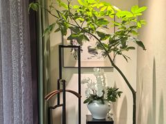 -王府茶宴(大观园总店)