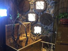 -葡萄集|滋味新疆菜·精酿酒馆(瑞豪酒店)