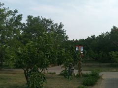 -御林古桑园