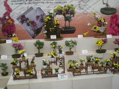 花展-西安世博园