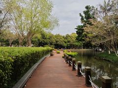 -海珠湖公园