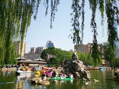 -团结湖公园