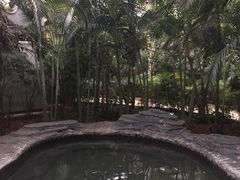 -龙达温泉生态城