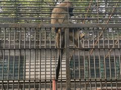 -保定市动物园