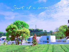 -龙坞茶村