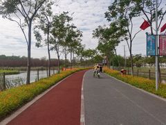 -上海长兴岛郊野公园