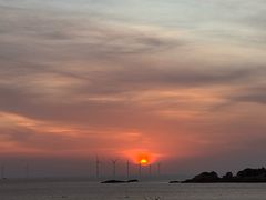 -草桥清真牛肉锅贴扁食店