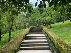 -南山植物园
