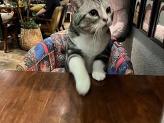 -咖法森林·咖啡  酒吧(天河店)