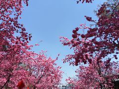 -昆明动物园