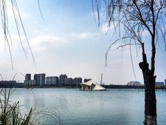 -暨阳湖生态园
