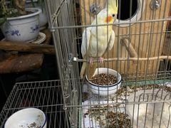 -伊隆斋(什刹海店)