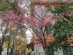 -四川大学(华西校区)