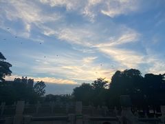 -顺峰山公园