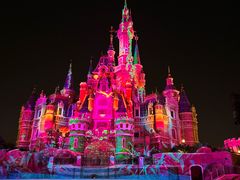 -上海迪士尼度假区