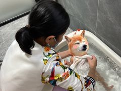 -汇慈安·高端自营月嫂(武汉月子尊享店)
