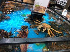 -盒马鲜生(宝地店)