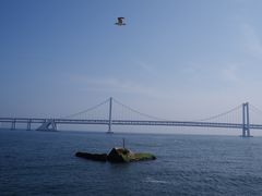 -星海广场