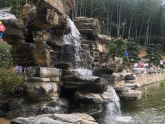 -宁波浙东大竹海景区