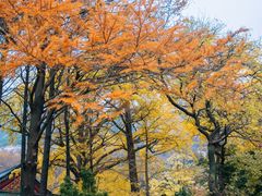 -青岛崂山太清宫