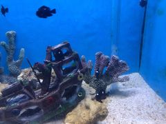 -常州海昌海洋探索馆