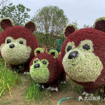 和小伙伴到扬州来玩，首选了新地标的扬州梦幻之城