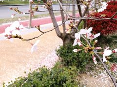 -砂之船奥莱(南京江宁店)