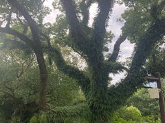 -台州府城(江南长城)